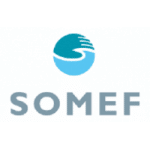 somef-logo_web